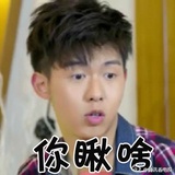 共舞吹体育