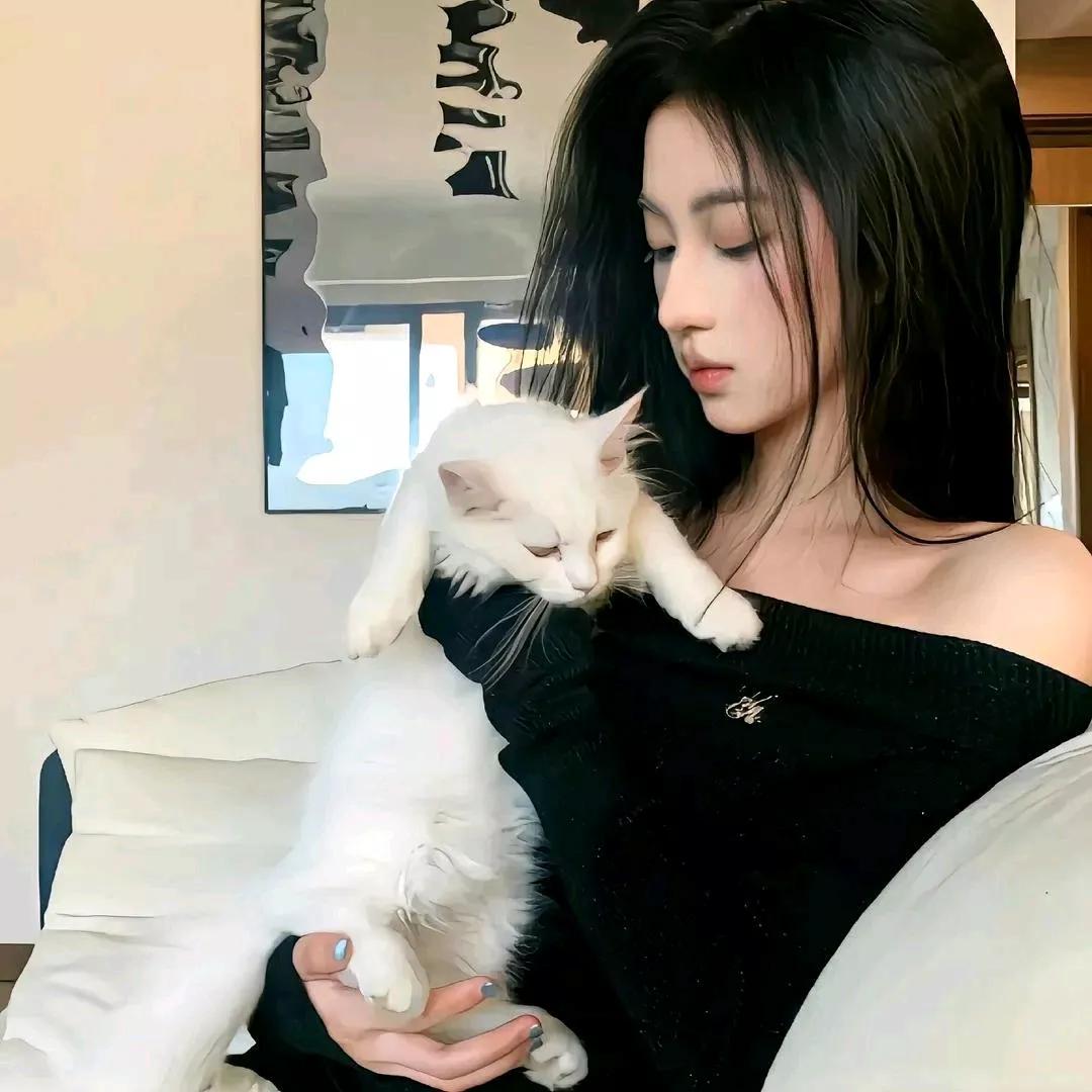 温柔的白猫与黑衣女孩的静谧时光💫✨温柔黑裙少女 黑衣女孩 猫系少女照 猫系美女
