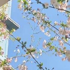 阳光信用[超话] 🌞每日一善🌞阳光信用 无论生活怎么为难你，都不要放弃一如既