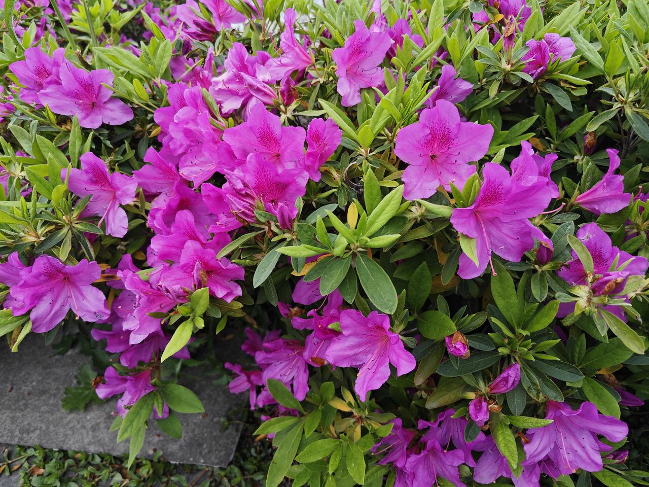 养生最高级的笨办法：把日常琐碎，全变成“见缝插针”的保养。

别总想着找整块时间