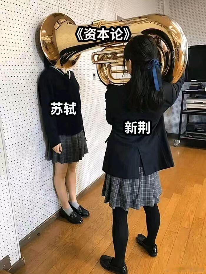 收到了大量的新荆表情包苏轼：我就说我是被强迫的！ 