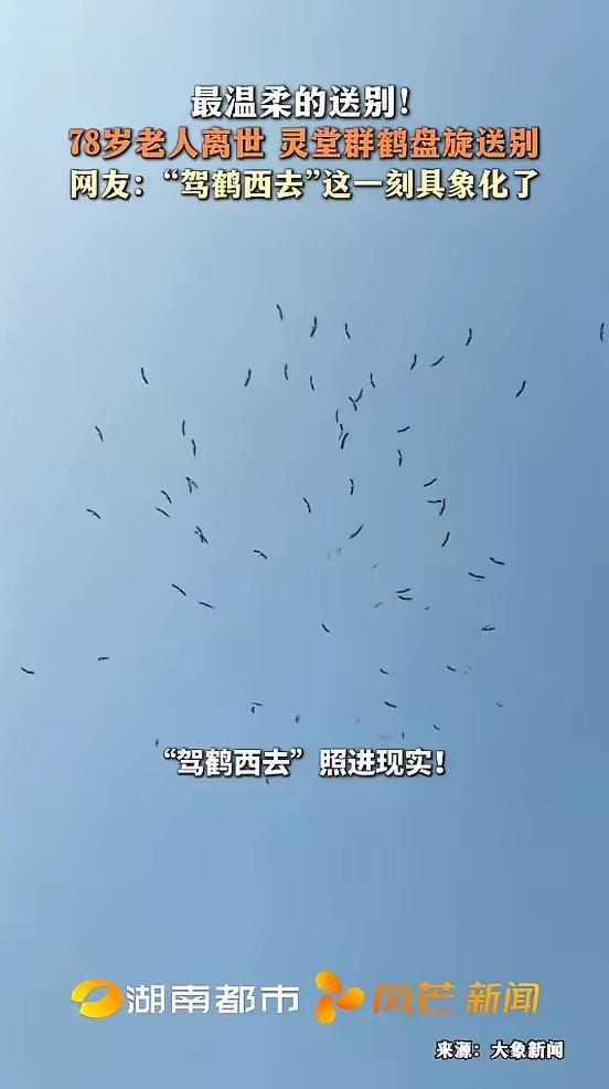 这一幕确实震撼又浪漫，科学解释是自然巧合，文化寓意是温暖的送别。
 
🌿 自然