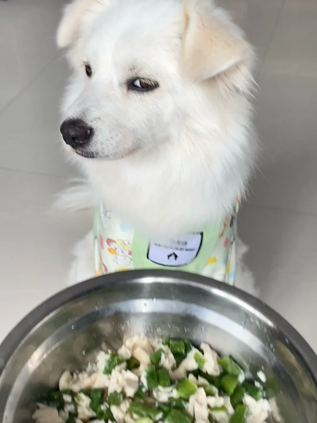 豆橛子！！！这日子啥时候是个头啊！