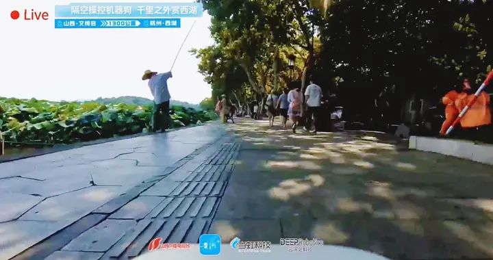 跨越1300公里，云深处科技联手当虹科技实现超远程操控机器狗直播