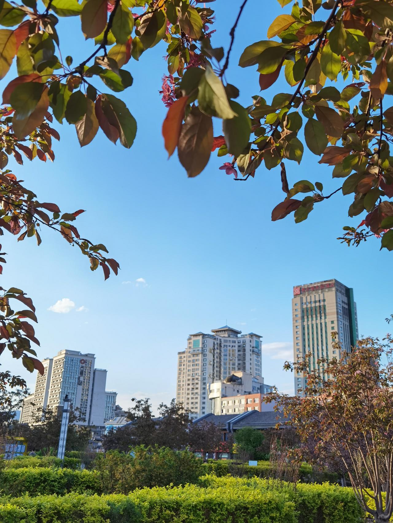 中心广场是承德市区最大的城市广场，在寸土寸金的主城区建设这么大的广场还是挺难得的