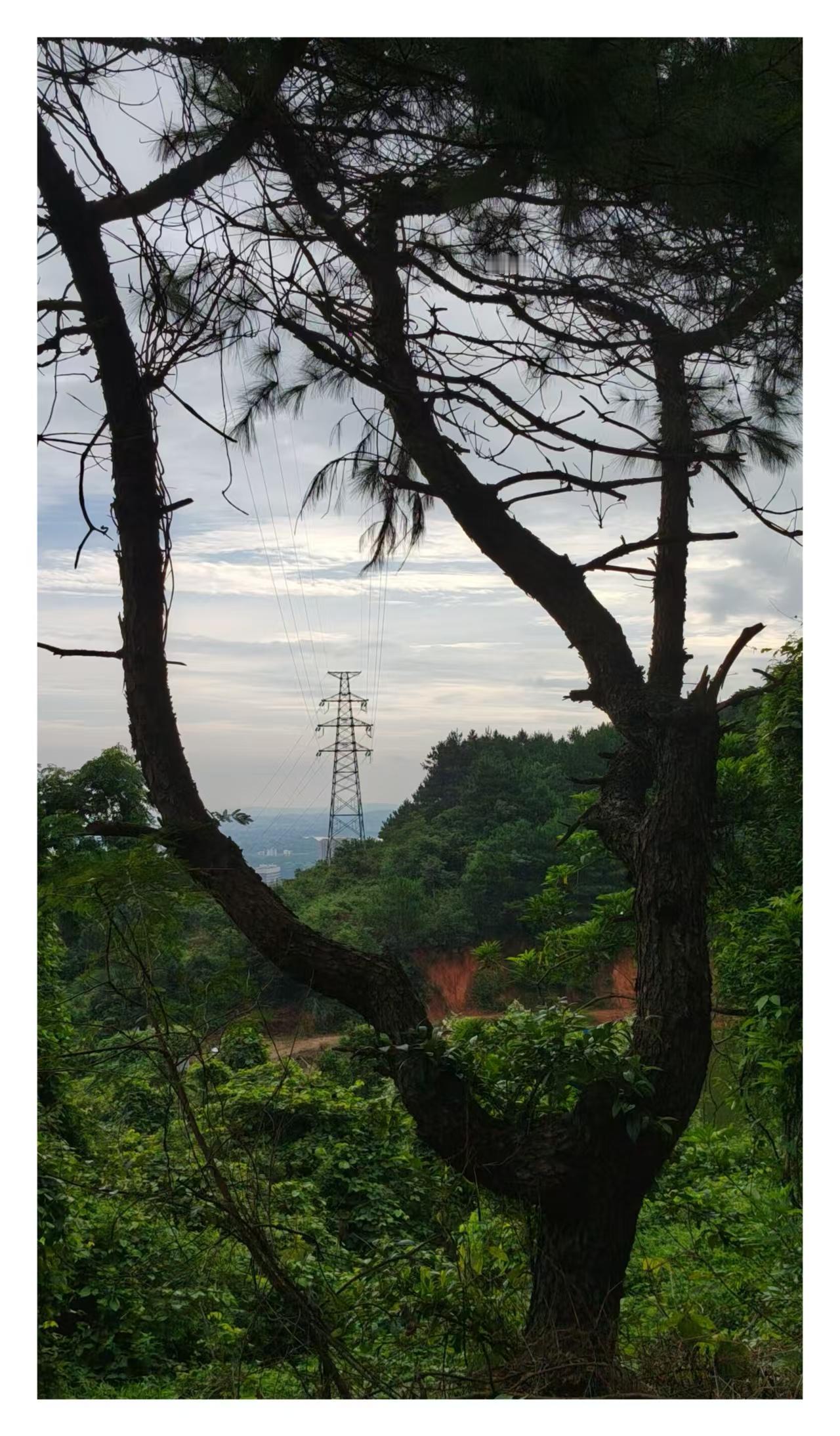 山里的美景，每一次牌都会有新意？