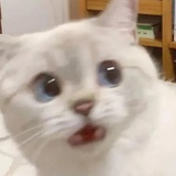 钱暄热读舞蹈