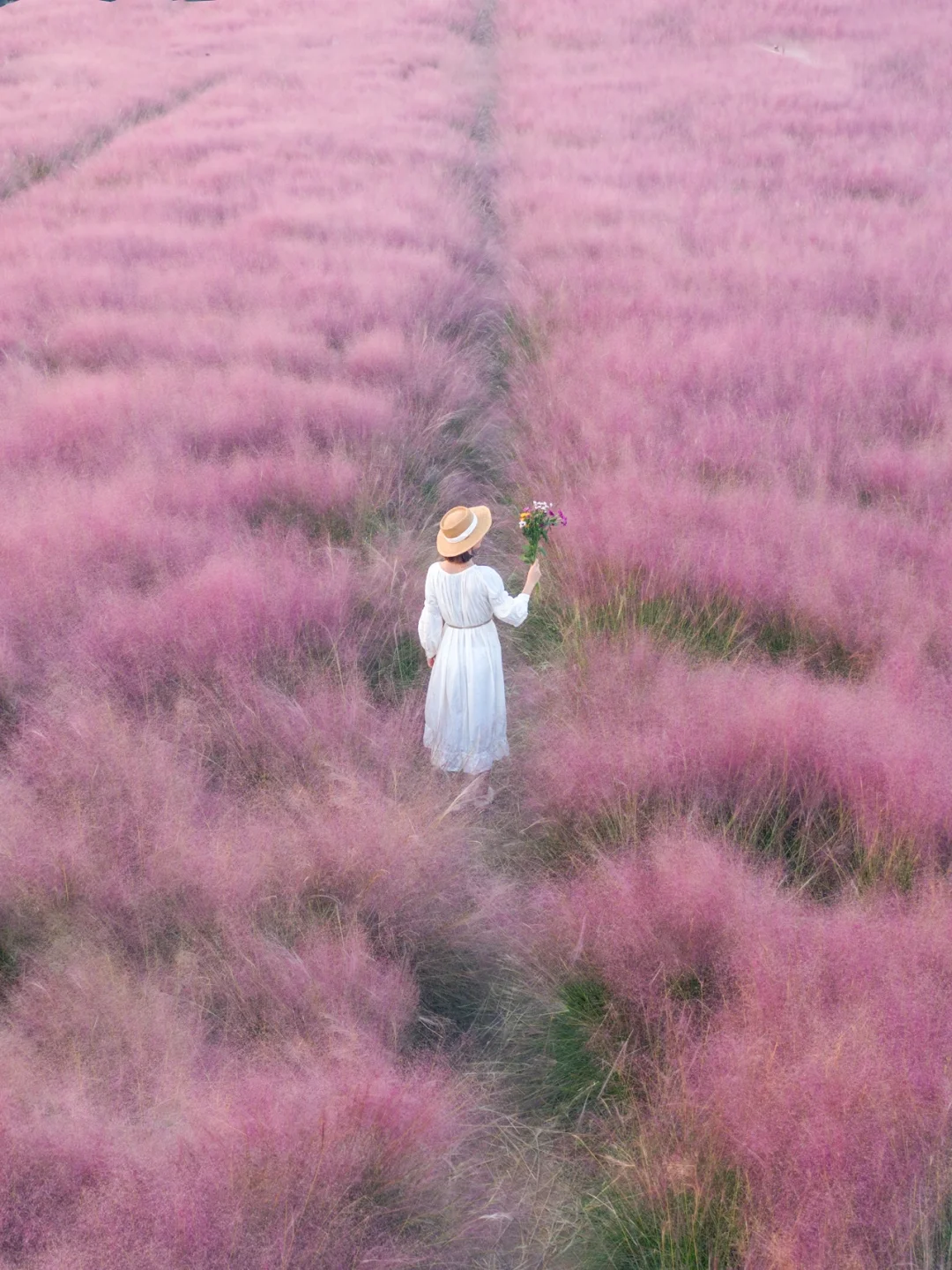 杭州三个粉黛打卡地，别再去临平人挤人了