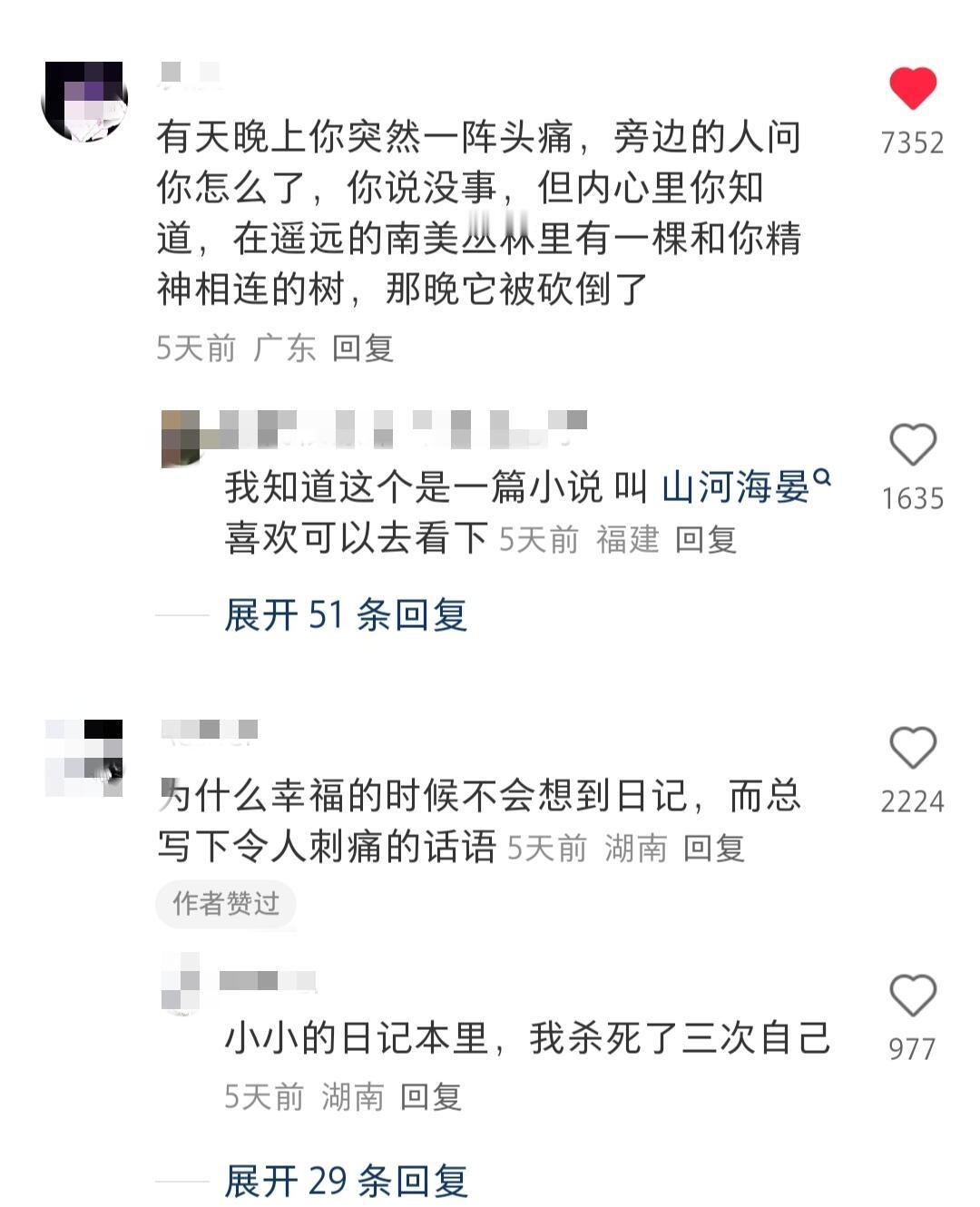 略微长的文字就表达出淡淡的情感的感觉 ​​​