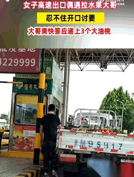 陕西高速上，一辆拉满油桃的大货车，被旁边小车里的一句话喊停了。
正是中午，太阳把