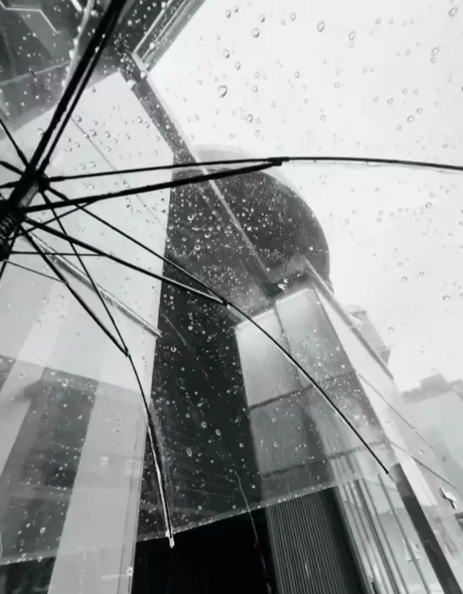 撑伞也是雨中人 我慢慢听雨落下的声音 我的世界下雨了 我的城市一直在下...