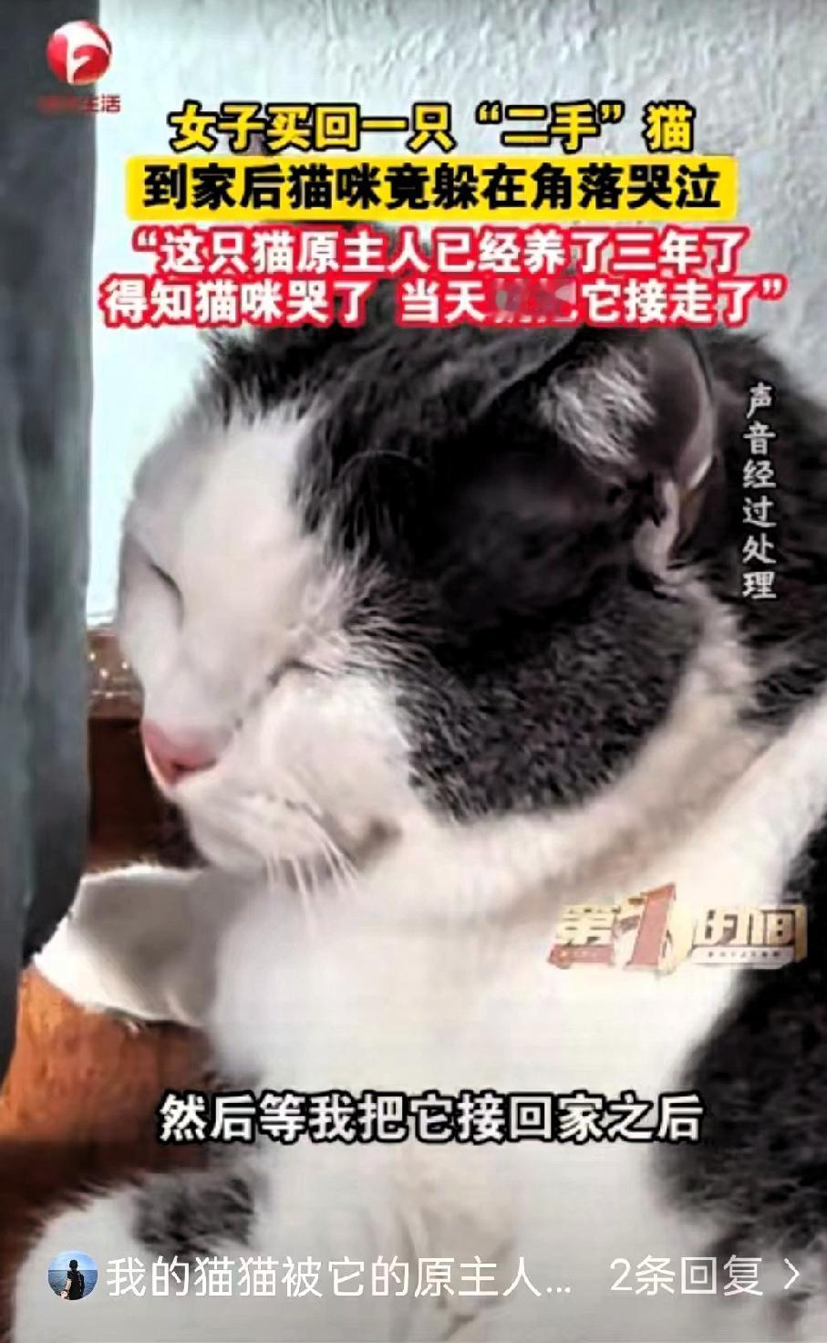 泪目！近日网上有一段感人的视频。一只花猫被主人卖了，被送往新家的路上它不吵不闹，