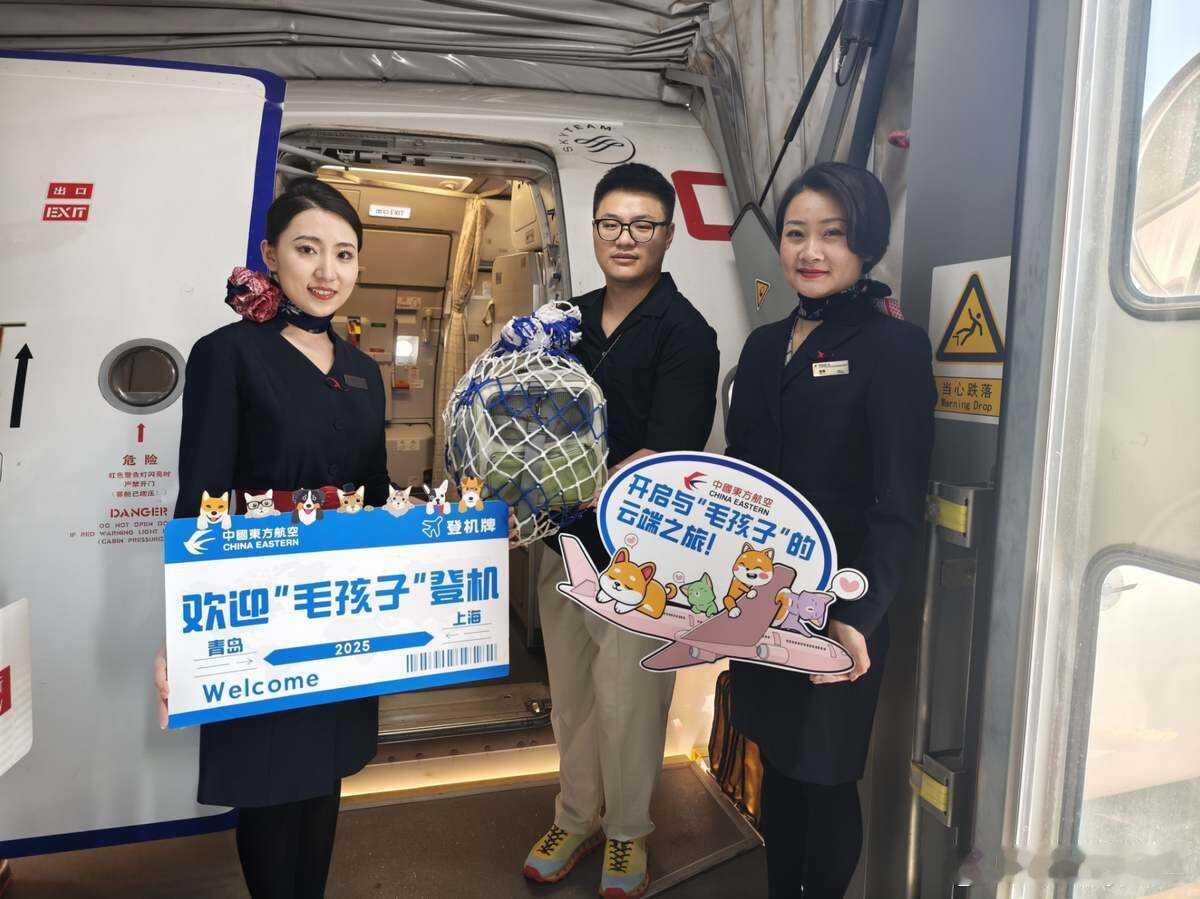 东航宠物进客舱首次走出国门东航近日正式在仁川-青岛国际航线推出"宠物进客舱"服务
