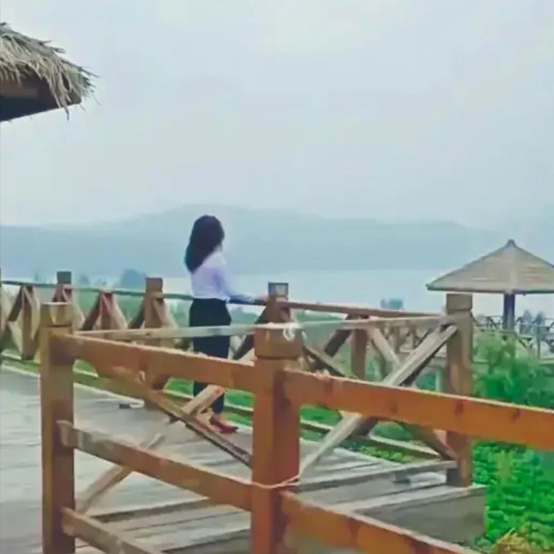 七律 · 风拂柳腰燕衔泥
方方


谁摇轻笛在桥西？正是东风过柳堤。
岸上桃花任