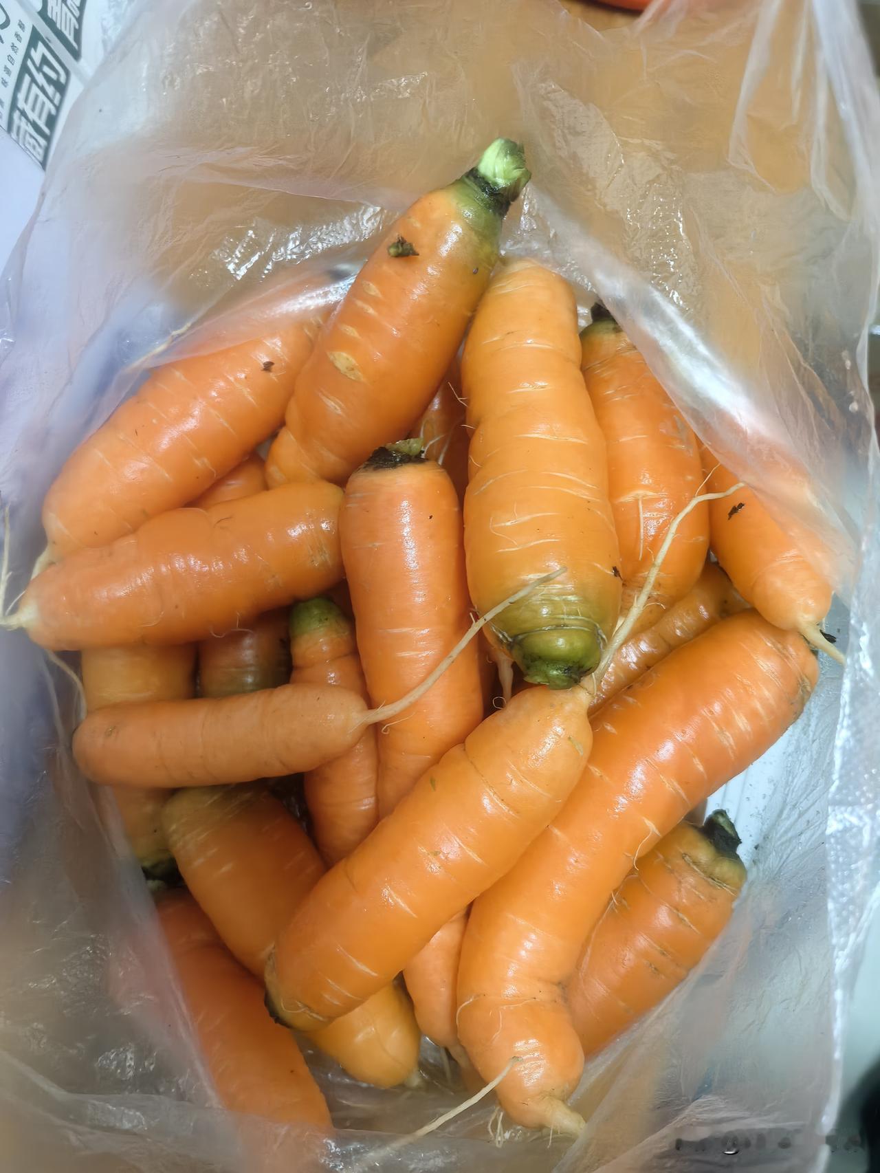 浙江真是个神奇的地方！经济活力不差，但周围老一辈的农村老人还在坚持养这么“老”的