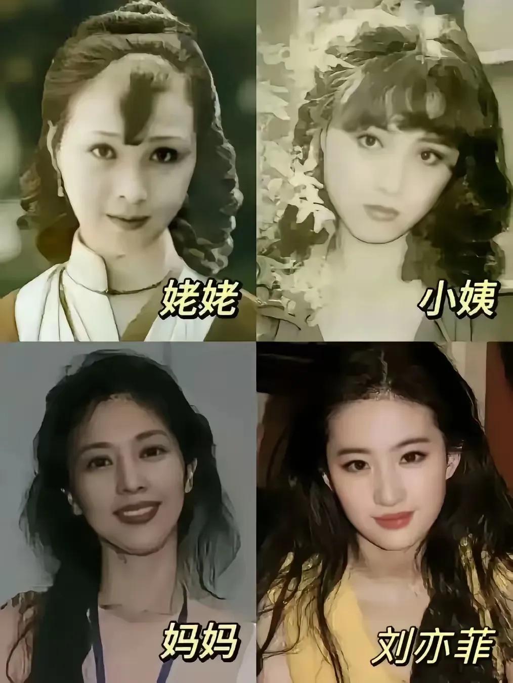 按这张图看，
刘亦菲在家族里的颜值是最低的
运气可能是最好的，
当代女性黄玫瑰！