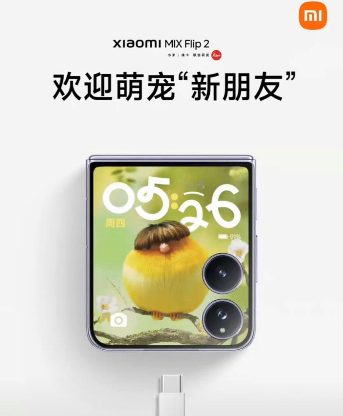 卢伟冰的宠物是锅盖头鸟当手机外屏住进 “治愈系萌宠”，关键还是得看情绪价值！谁能