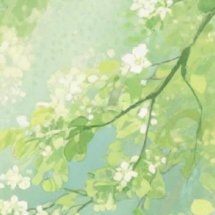 0000沐光而行，静待芳菲阳光穿过层层枝叶，温柔洒落于枝头，细碎白花在光影里静静