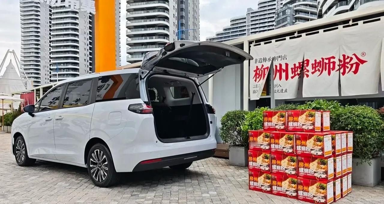 避开长续航/高配置红海，直击城市短途代步刚需，覆盖30-50km日行程，解决通勤