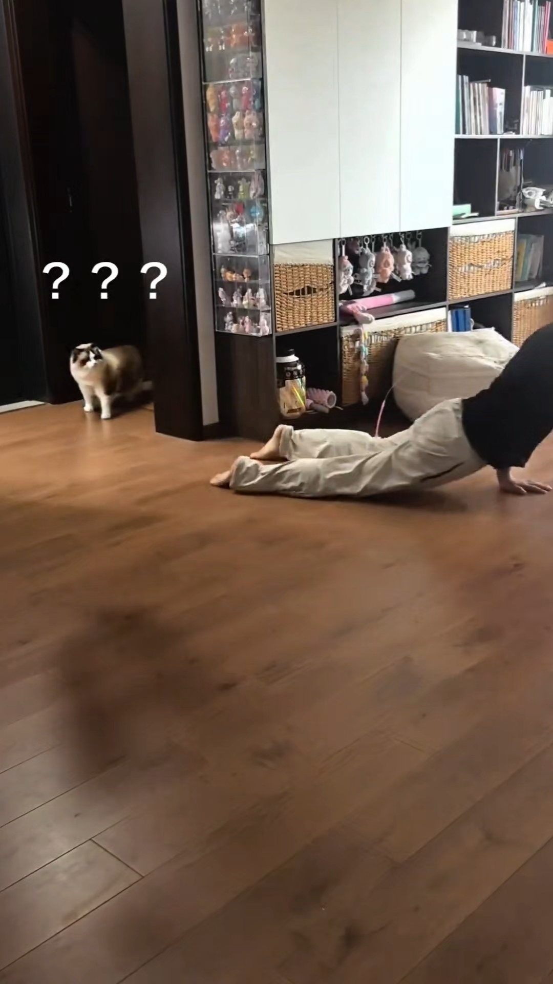 感觉今晚练腿太狠了，估计明天要成图里这样 