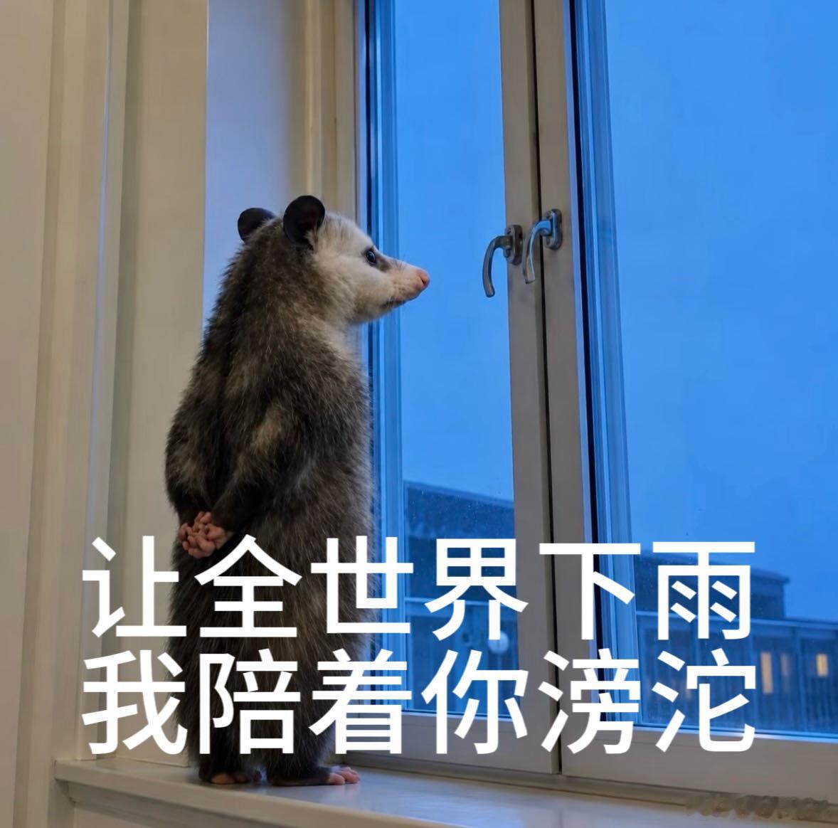周深回应演唱八仙主题曲周深回应与Ella合作 周深谈及八仙主题曲，说到相遇路上那