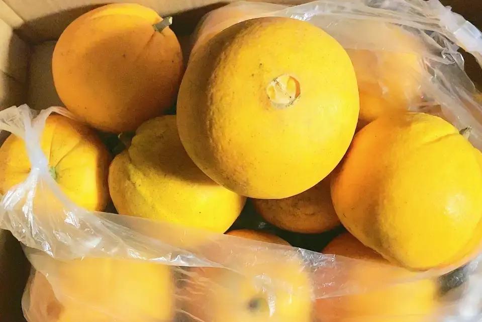 昨天下班刚回到家，就瞧见住在我对面的邻居骑车从外面回来。她跟我说回了趟老家，看望