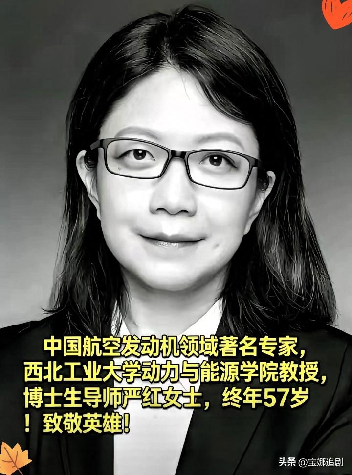 真的破防了，3月24日。当全网都在为张雪峰沸腾时，西工大博导严红，死磕航空发动机