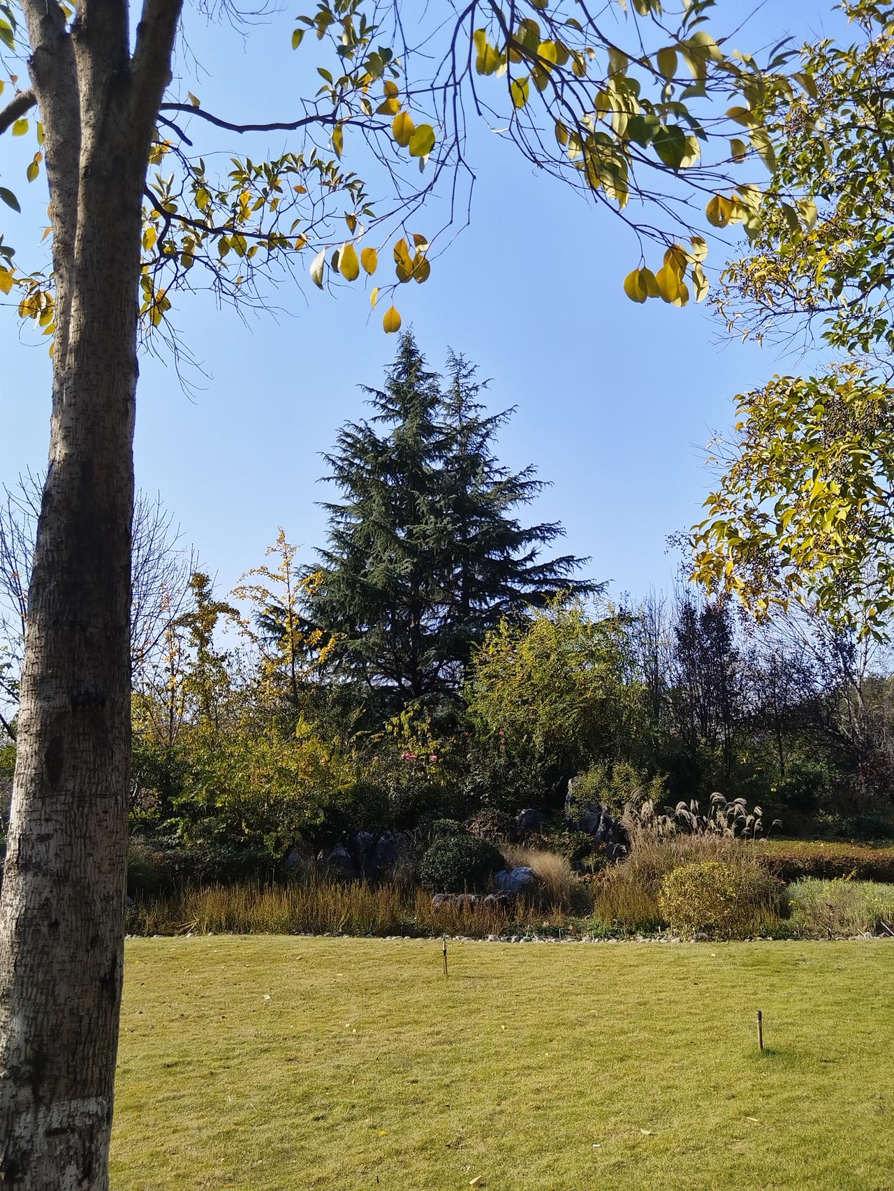 家之将荣，必有诤子