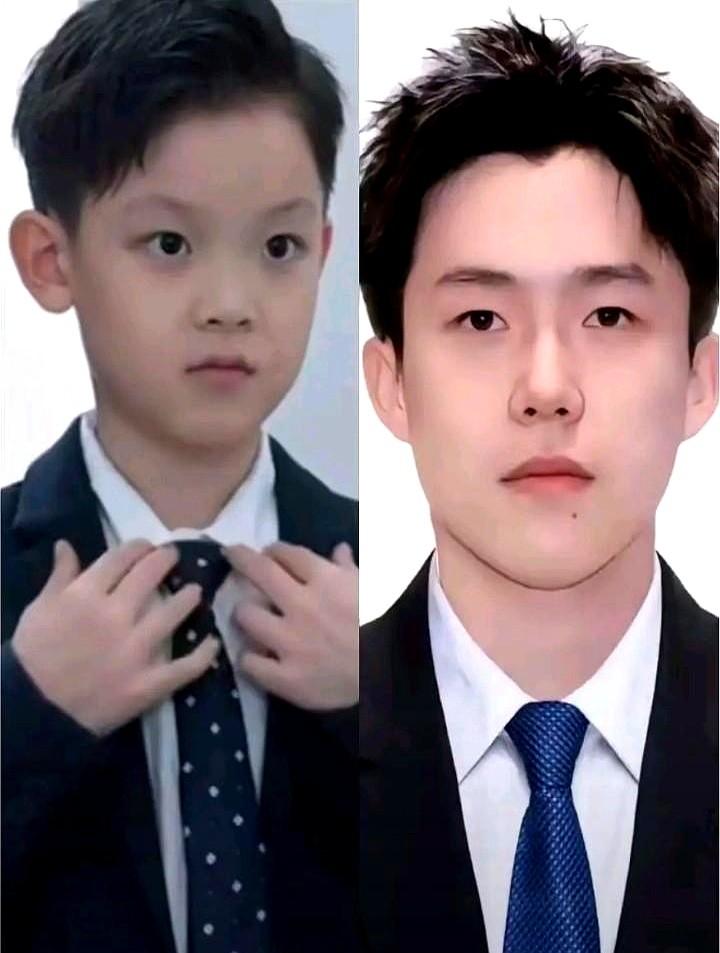 有人可能觉得乒乓球席卷的传统——直拍打法，正在被新生代逐渐取代。

这场变化背后