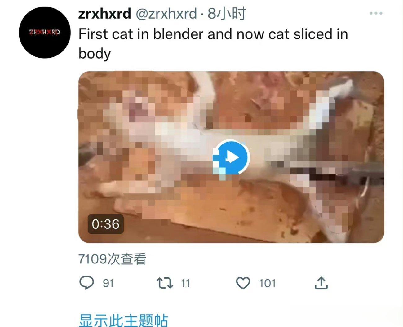 杰克辣条 虐猫杰克辣条道歉以后再次虐猫！！！！我就知道他不是真心道歉的，只是被网