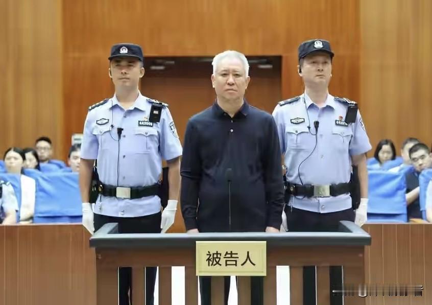 67岁的昔日地产王在深圳判了，终生监禁。出现在公众眼前的，只是一个白发苍苍的老头