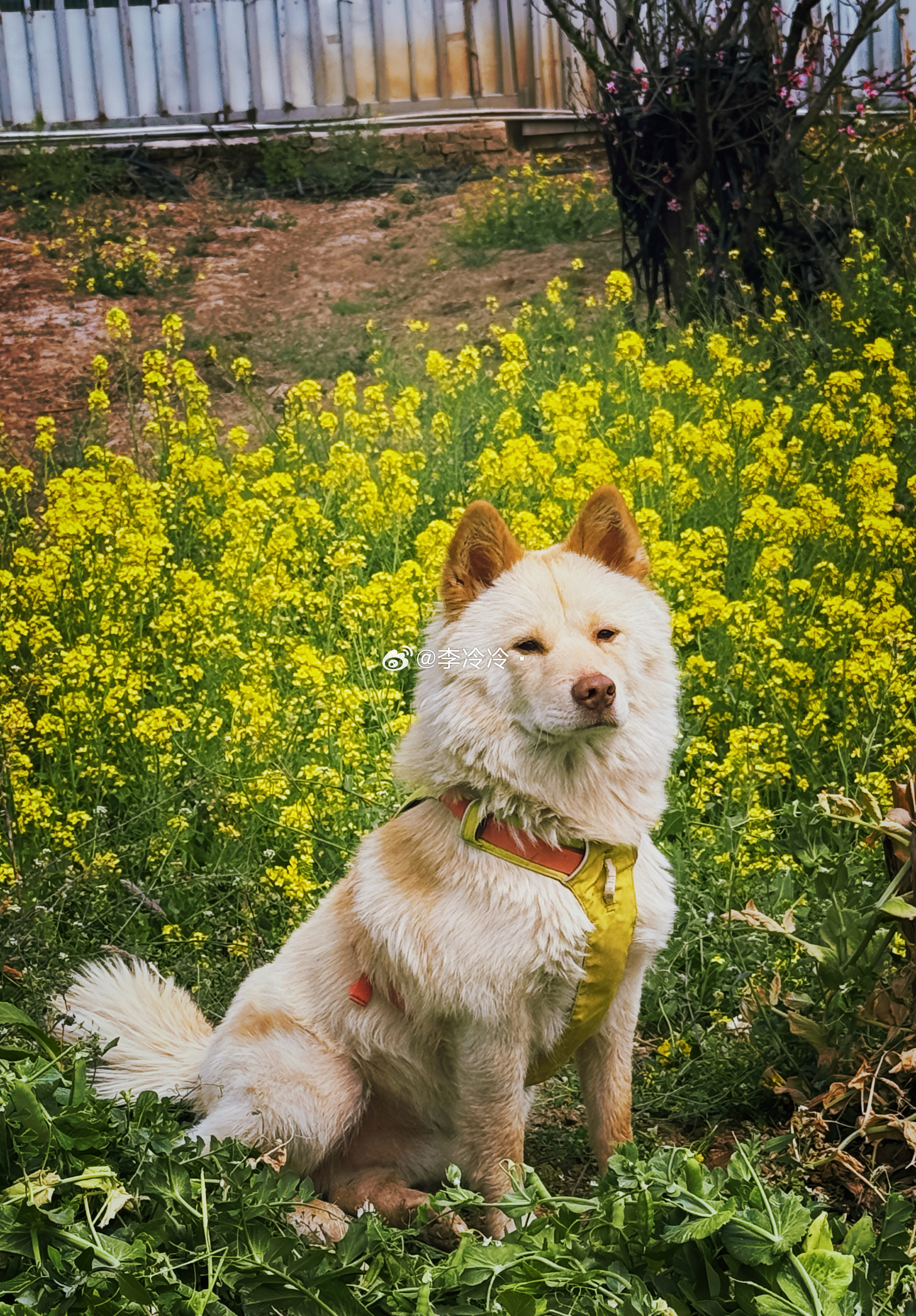 咱家的帅小伙！（坐等夸夸） 