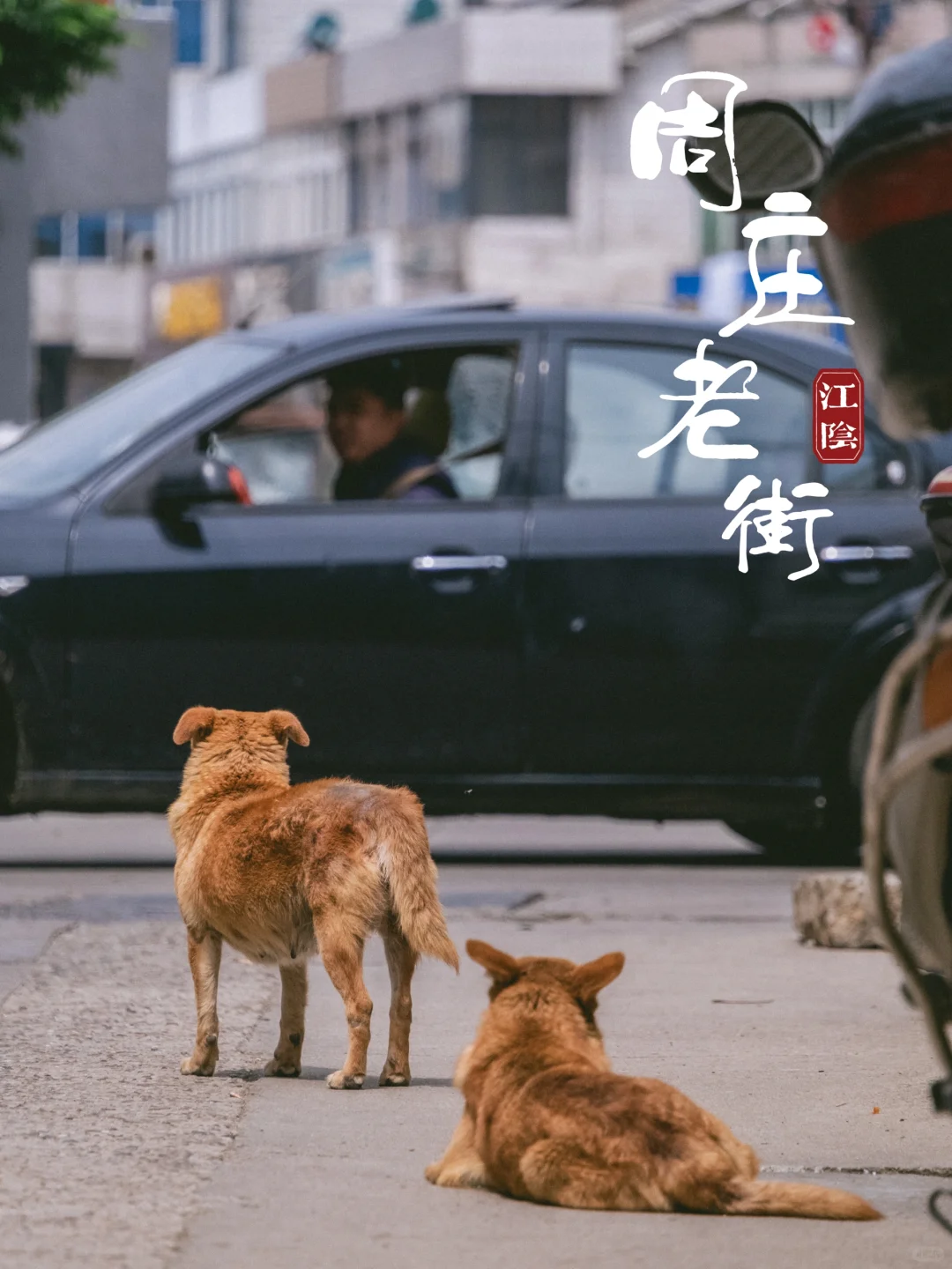 📸古镇老街(135)｜这不是苏州的周庄