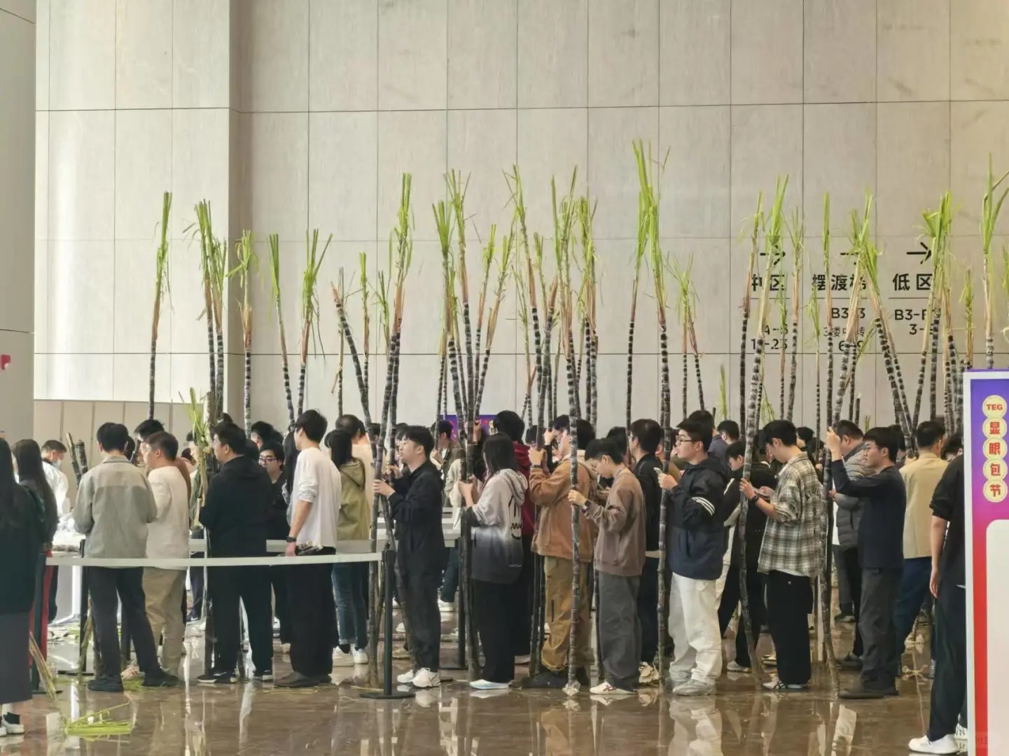怎么艺术成这样疑似企鹅攻打字节集团军整备现场长矛武器早上是这样发在工位的 