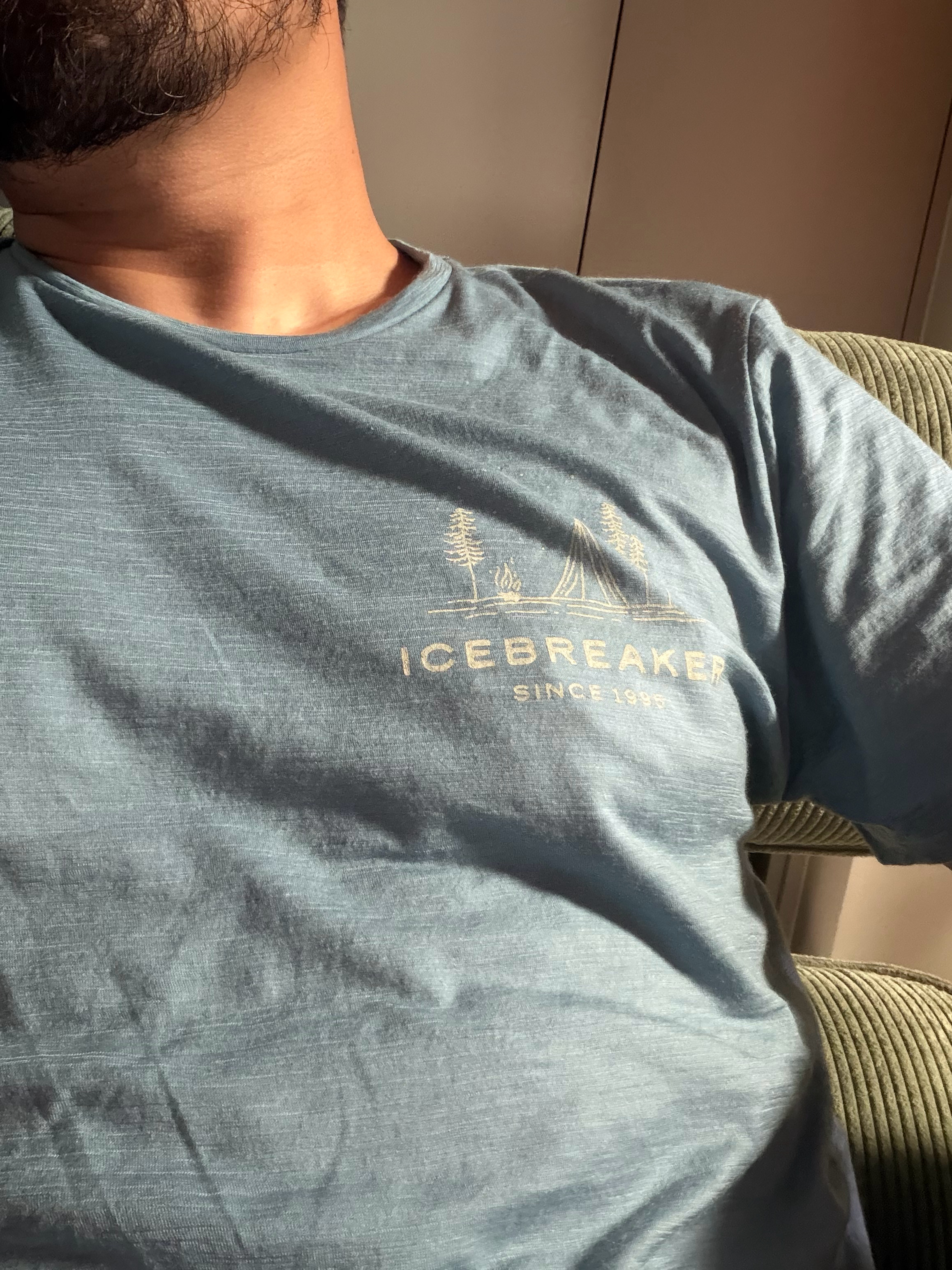 在新西兰的时候买了件 icebreaker 的短袖，100% 美利奴羊毛的，合人