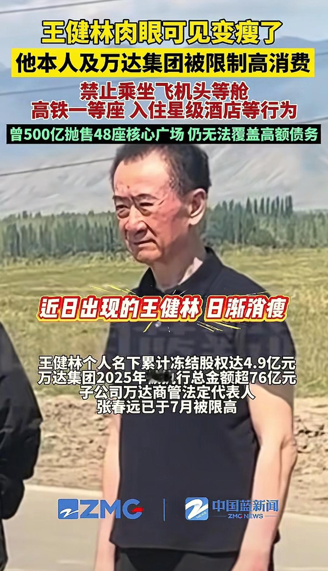 刚跟老公聊王健林被限高，
我随口吐槽：“他老婆林宁手里几千亿，咋不救老王一把？”