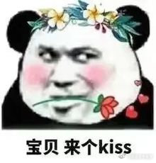嗨，处对象吗，我偷共享单车养你…… 