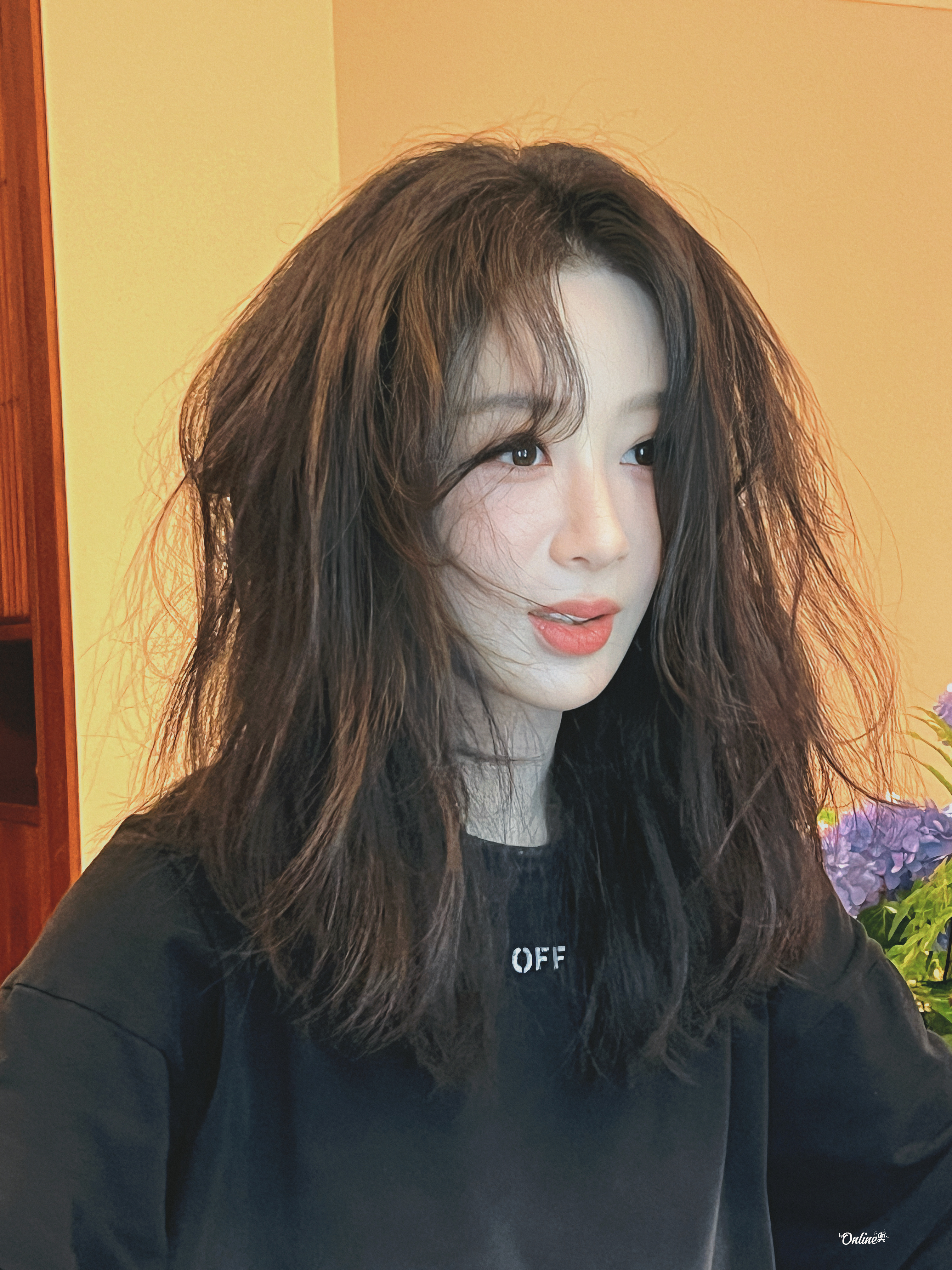 杨紫  是谁的可爱女鹅杨紫李祯杨紫家业 