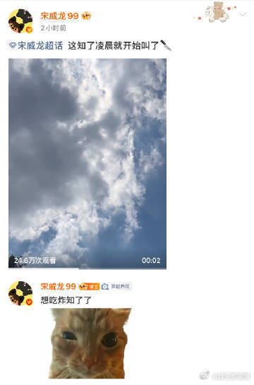 宋威龙放生知了宋威龙智斗知了捕捉宋威龙可爱日常！被知了吵到睡不着，在线吐槽，下楼