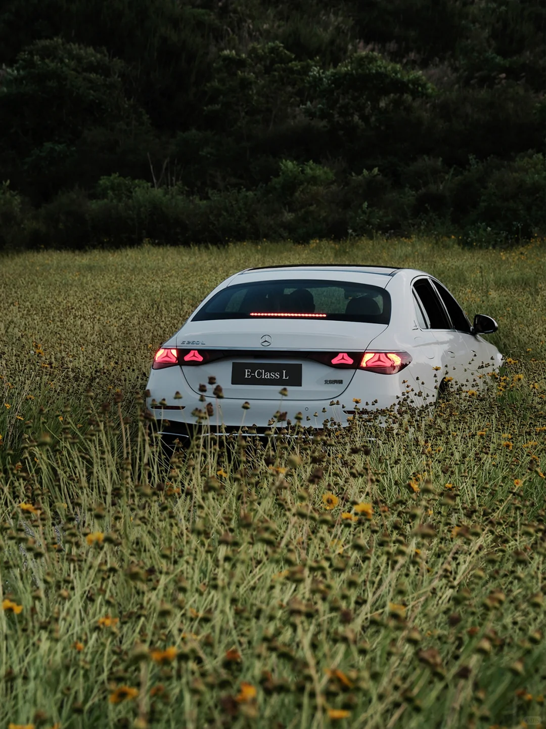 属于你的夏日多巴胺，奔驰E级车