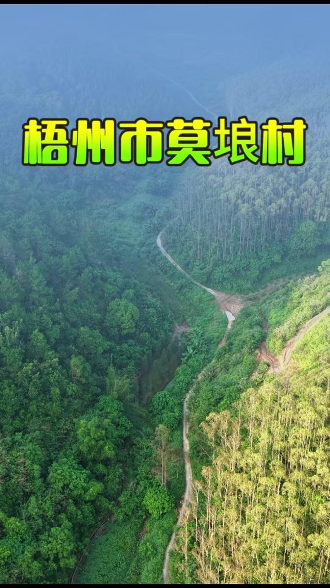 🍂站在广西梧州莫埌村附近的这片焦土上，想起2022年3月21日，MU5735从