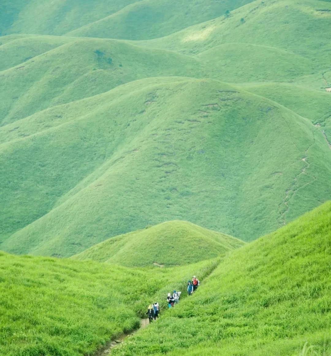 想逃离城市的喧嚣，来一场说走就走的徒步之旅吗？武功山，这个被誉为“中国最美十大非