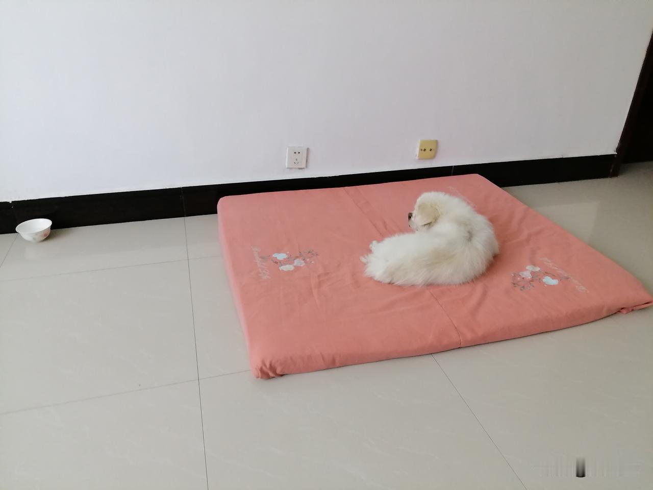 还是儿子眼睛能看到问题。

昨天，儿子带着小孙女来我家玩。他看到客厅里躺在垫子上