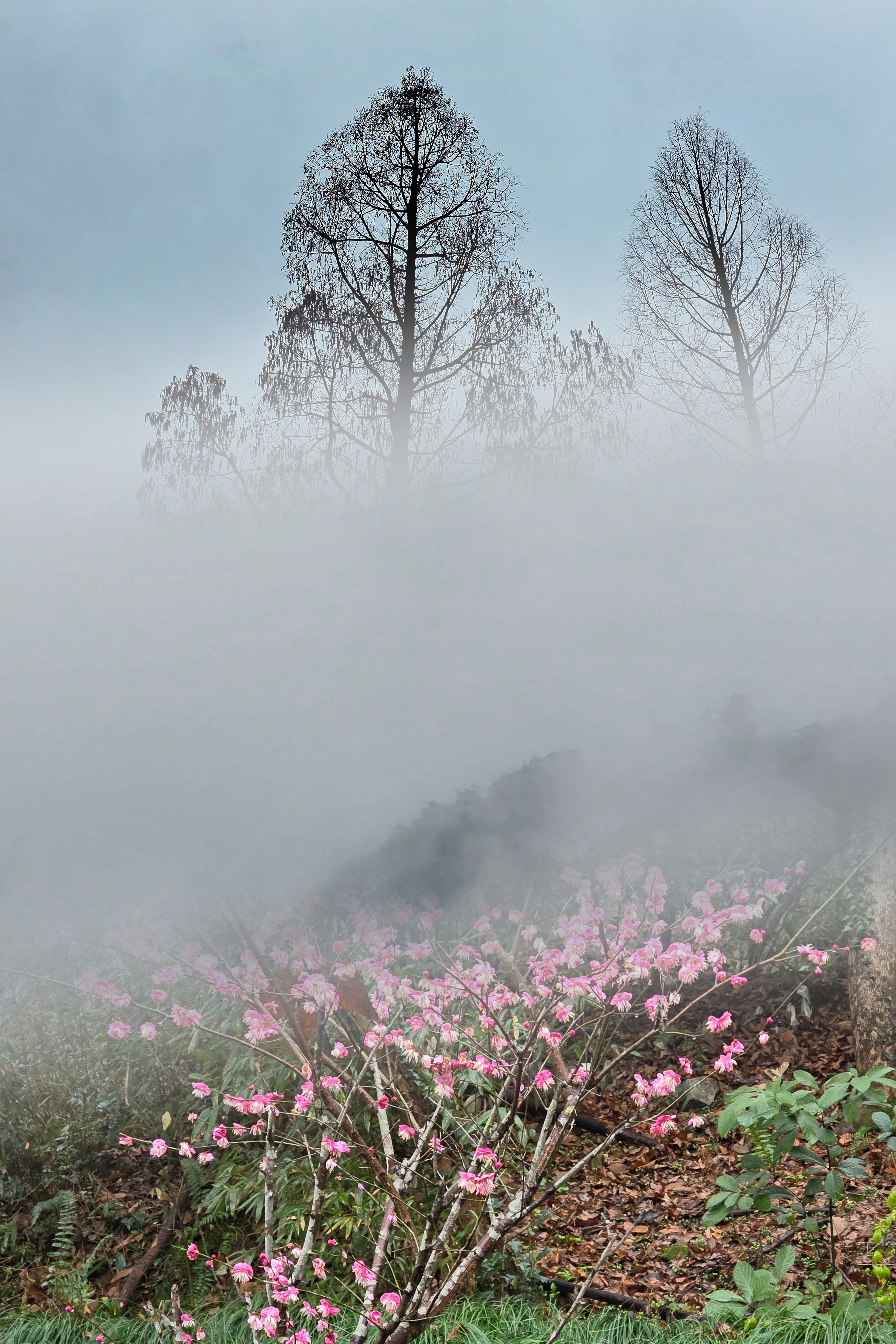 好好过大年今天能吃两碗饭
