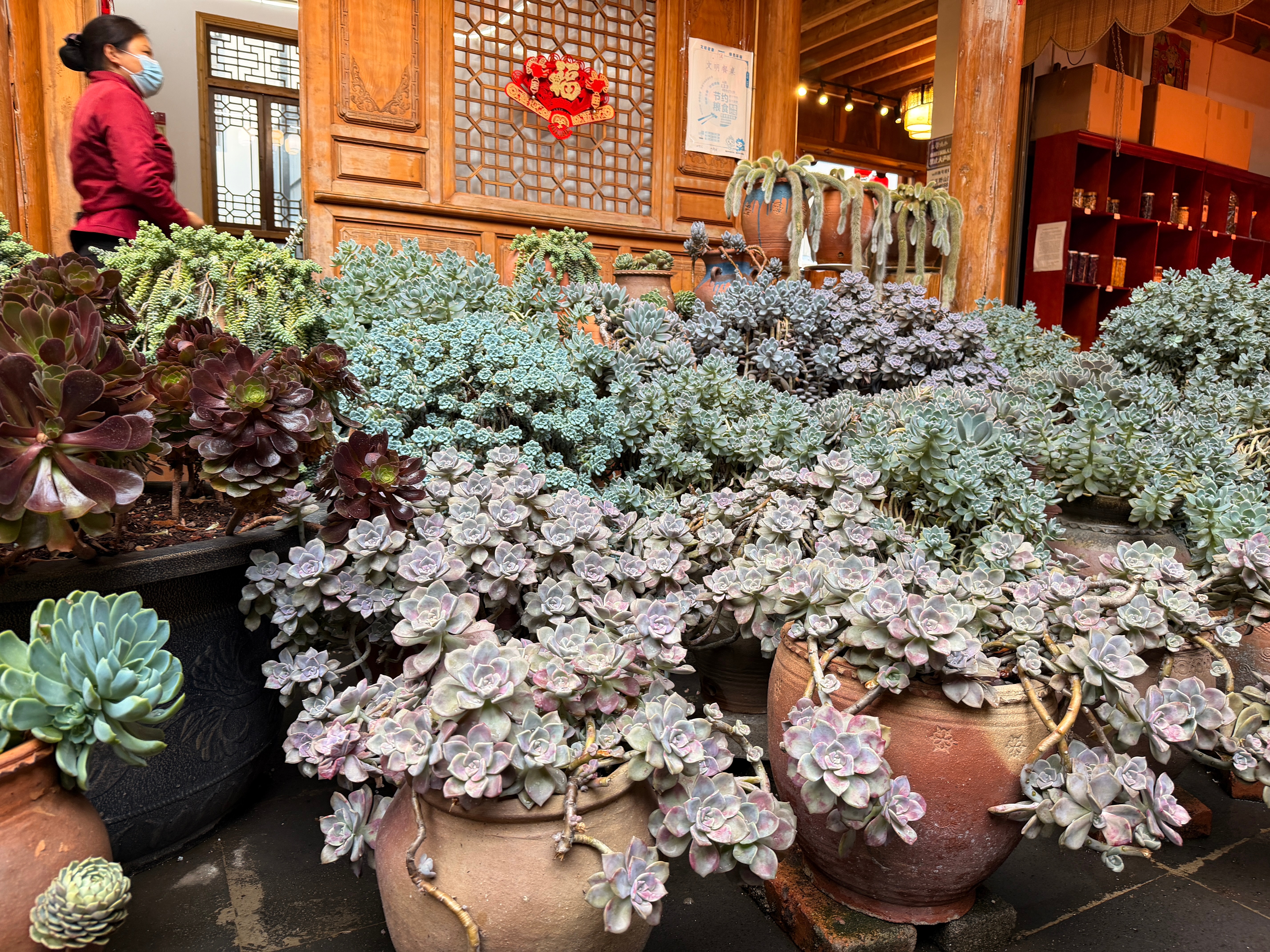 今天请我的好朋友吃野生菌。我们跟阿姨说：我们超乖的！我们肯定不会偷吃的！阿妈连筷