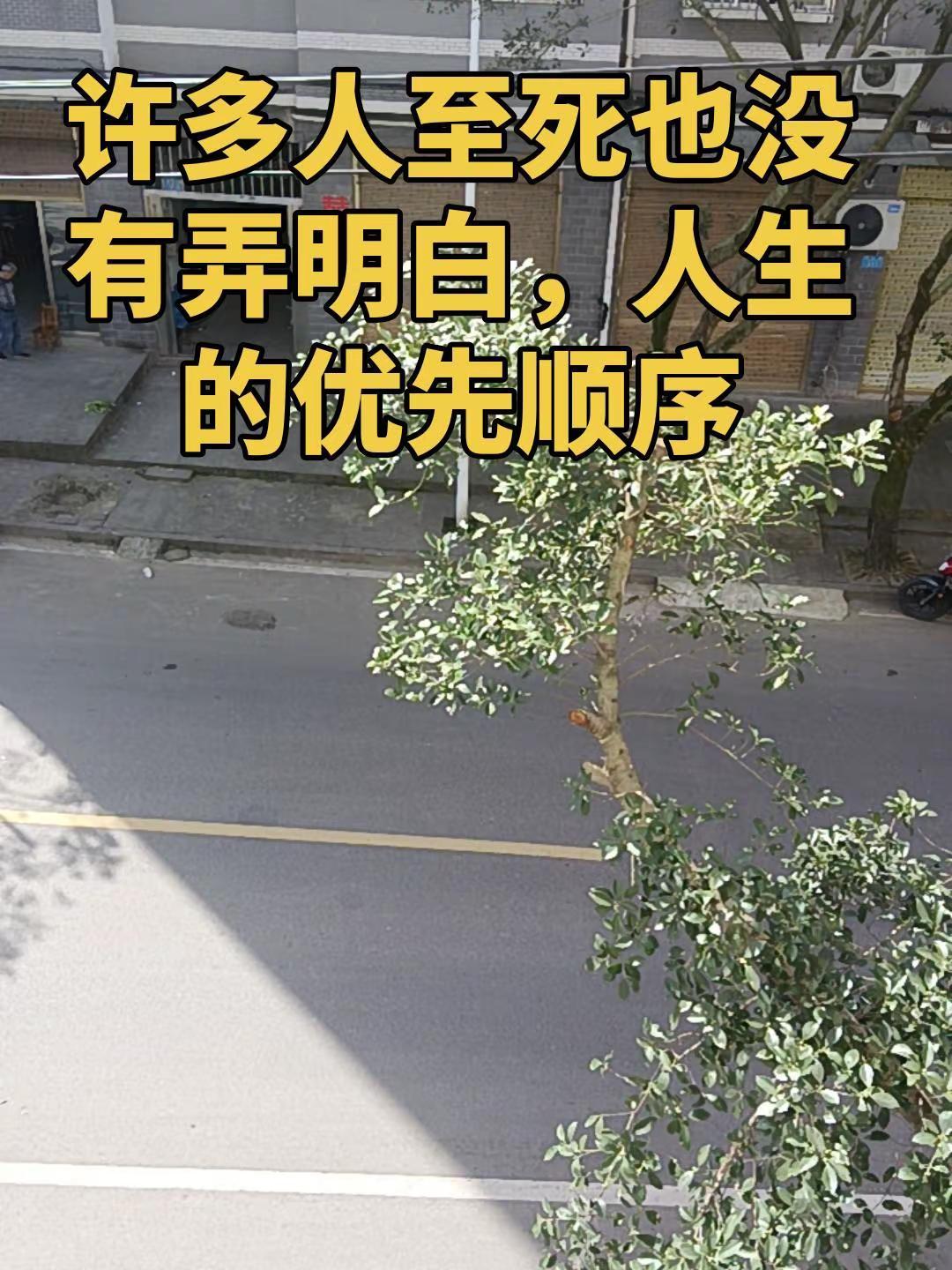 人生优先是经济，再谈感情。