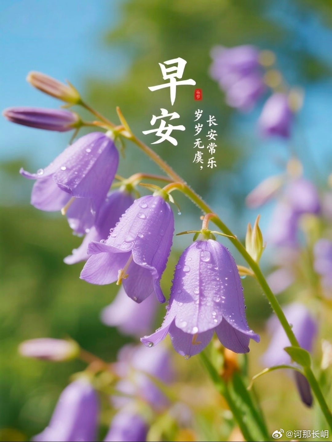 给生活加点甜，让平凡的日子闪闪发光。微笑向前，一切皆可爱，愿我们都会被温柔以待！