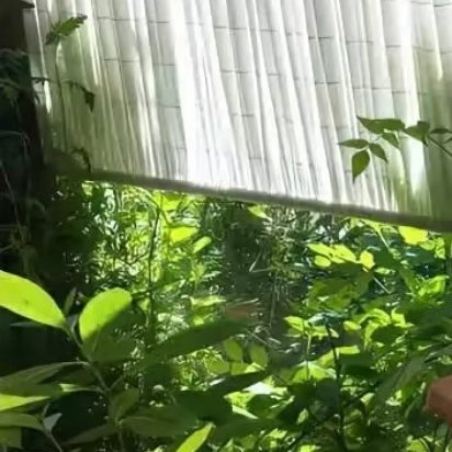 每日一善 🌞阳光信用 🌞每日一善 人生像一首曲子，离不开灵动的音符；每个人都