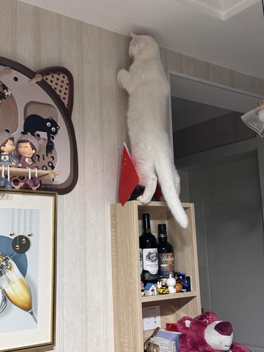 师傅你是做什么工作的