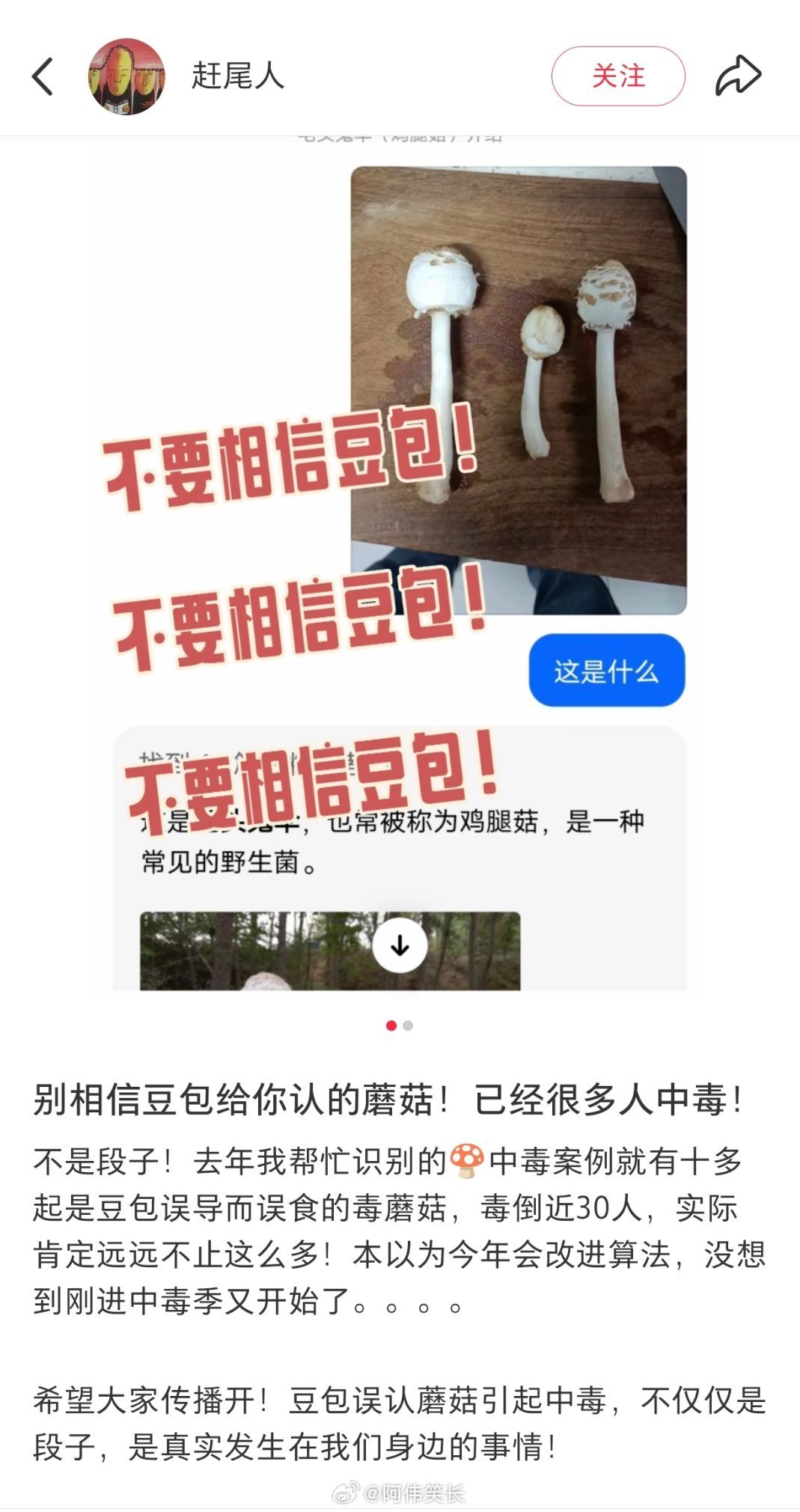 不要相信豆包识别的野生蘑菇 AI自己不吃，这个不管是啥AI都不能信……